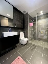 Affinity At Serangoon (D19), Apartment #550861581